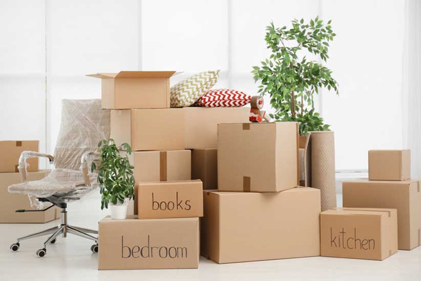 Movers and Packers in Saraipali