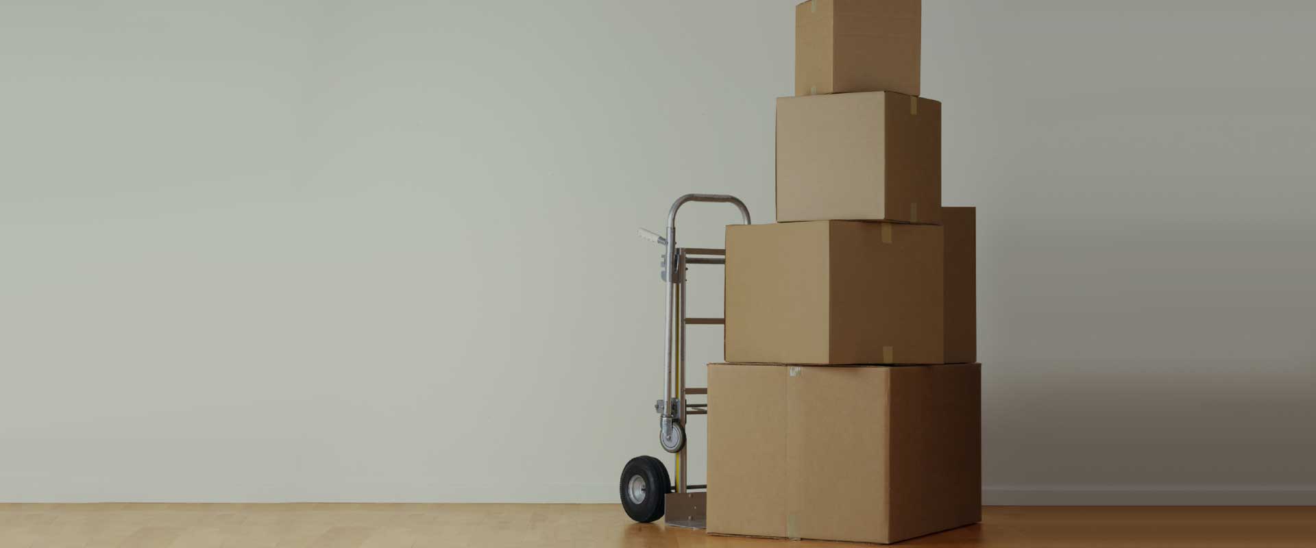 Packers Movers in Raipur